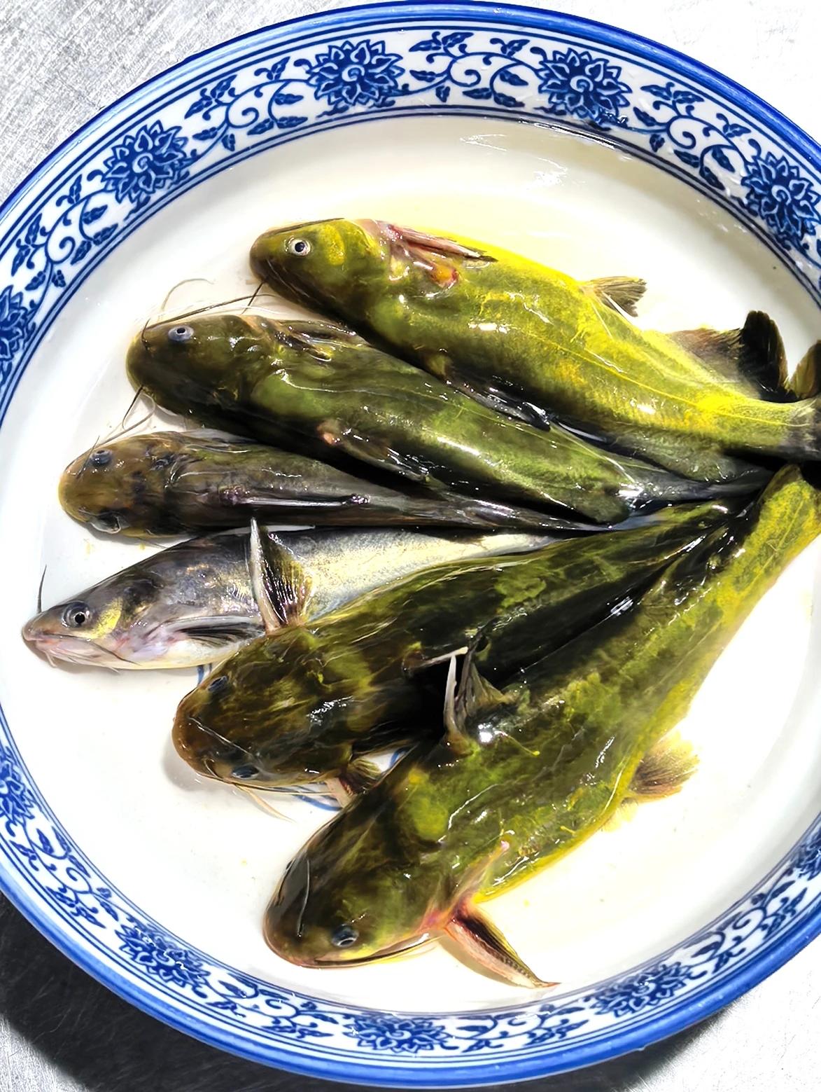 早上读《杭州的胃｜汪刺鱼：刺客带刀，纵横江湖》，文章提到了我的名字，我说我故乡叫