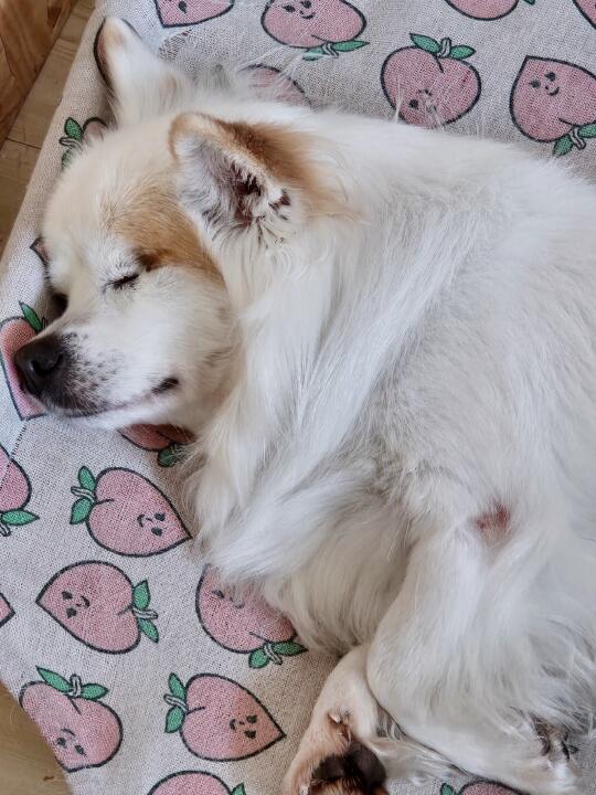 全世界的温柔都藏在你呼吸的起伏间