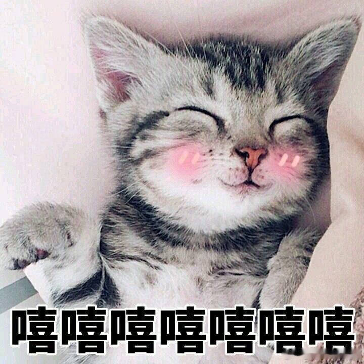 龙井奶茶是独属于浙江人的快乐真想急头白脸地和浙江网友干杯奶茶没去杭州之前很难想象