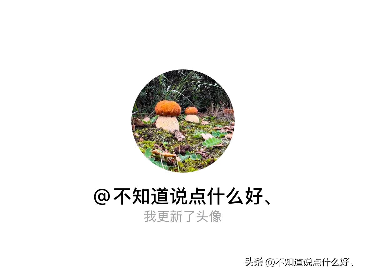 快来看看我新换的头像吧