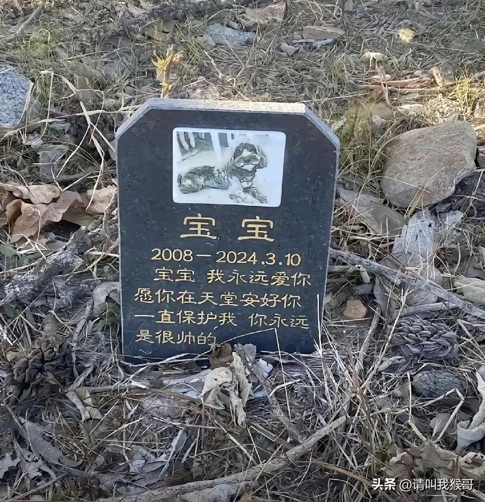 这种情况到底是爱，还是心理有问题？