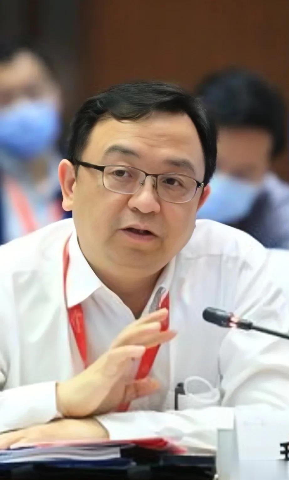 比亚迪老板王传福，为什么要去掉车尾后面的那排字母徽标，Build Your Dr