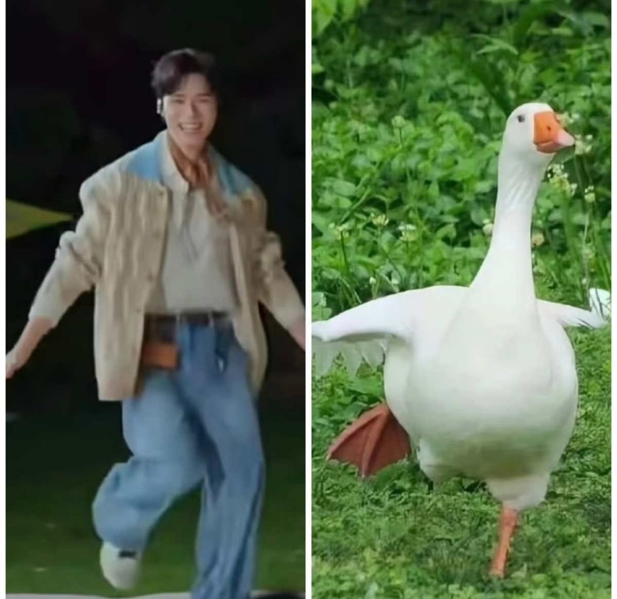 大家早安！ 