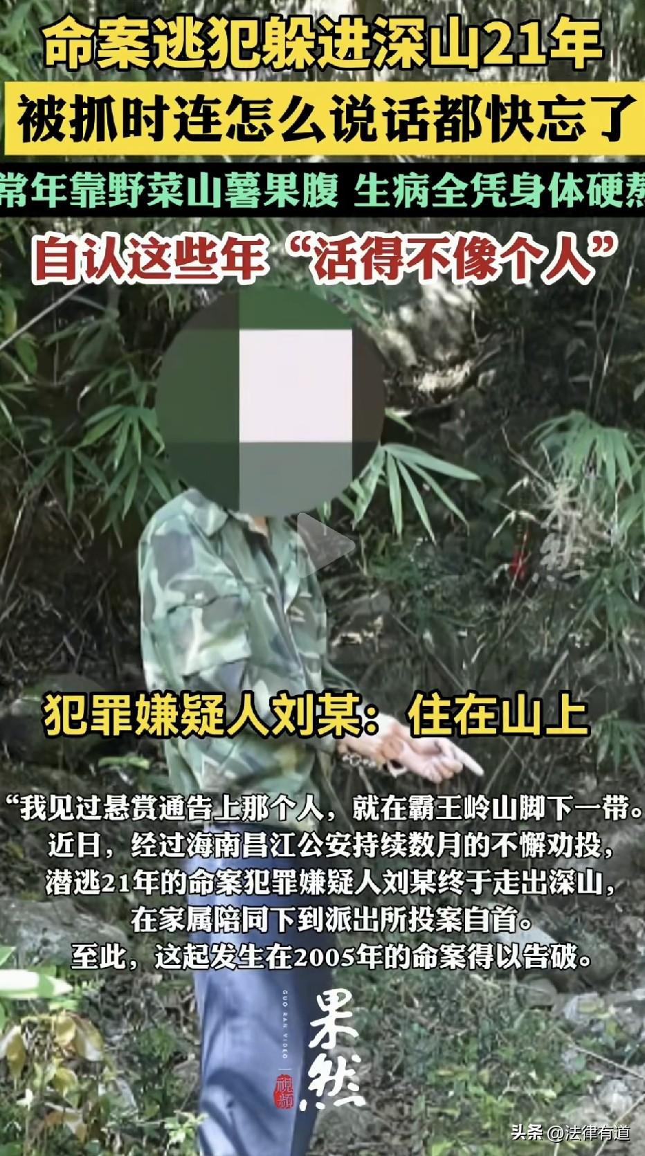 一句玩笑杀人！20年前35岁男子与同村村民上山砍树，只因一句“你不能只给自己照明