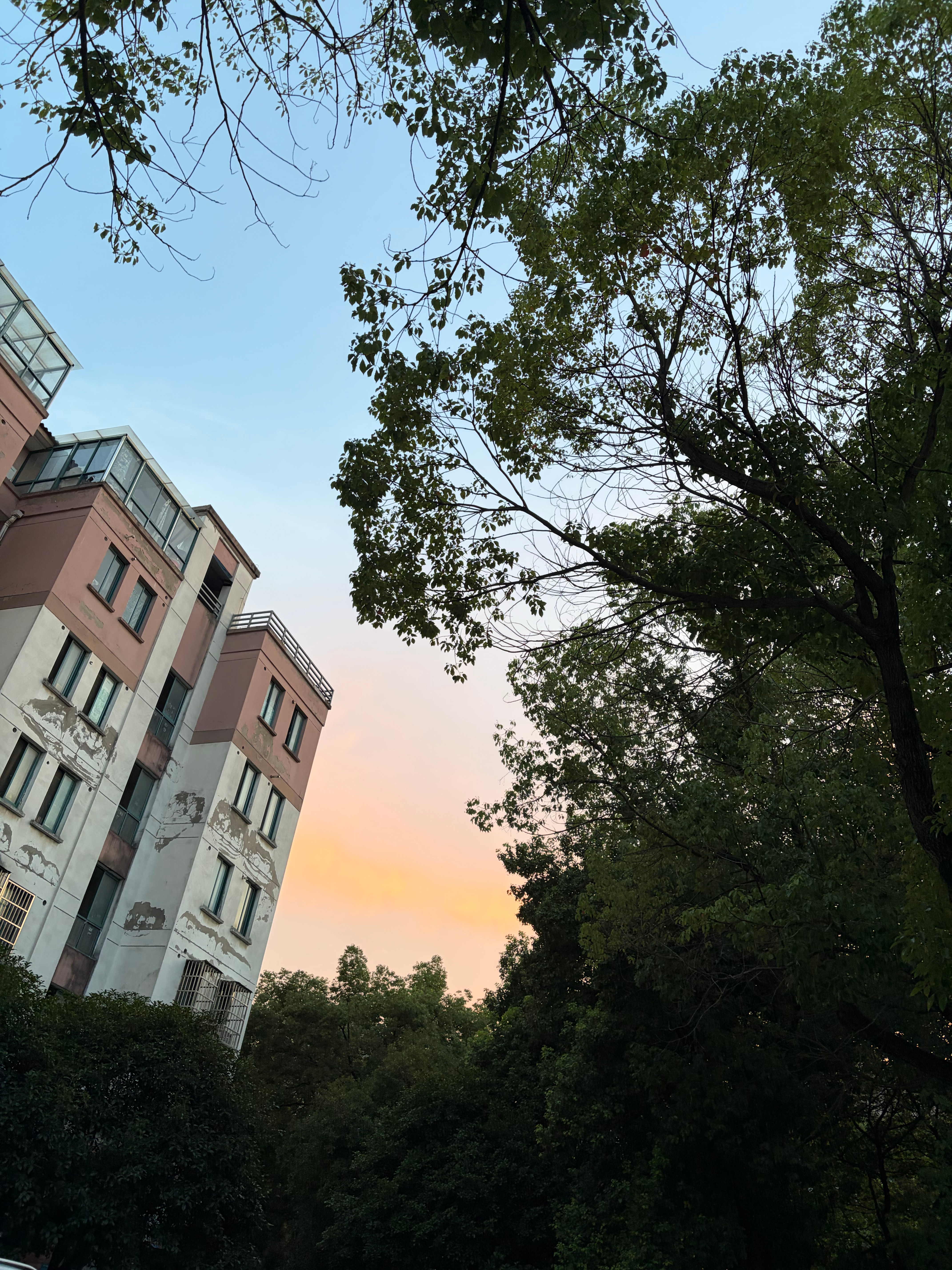 这个暑假玩点啥夏日出游 