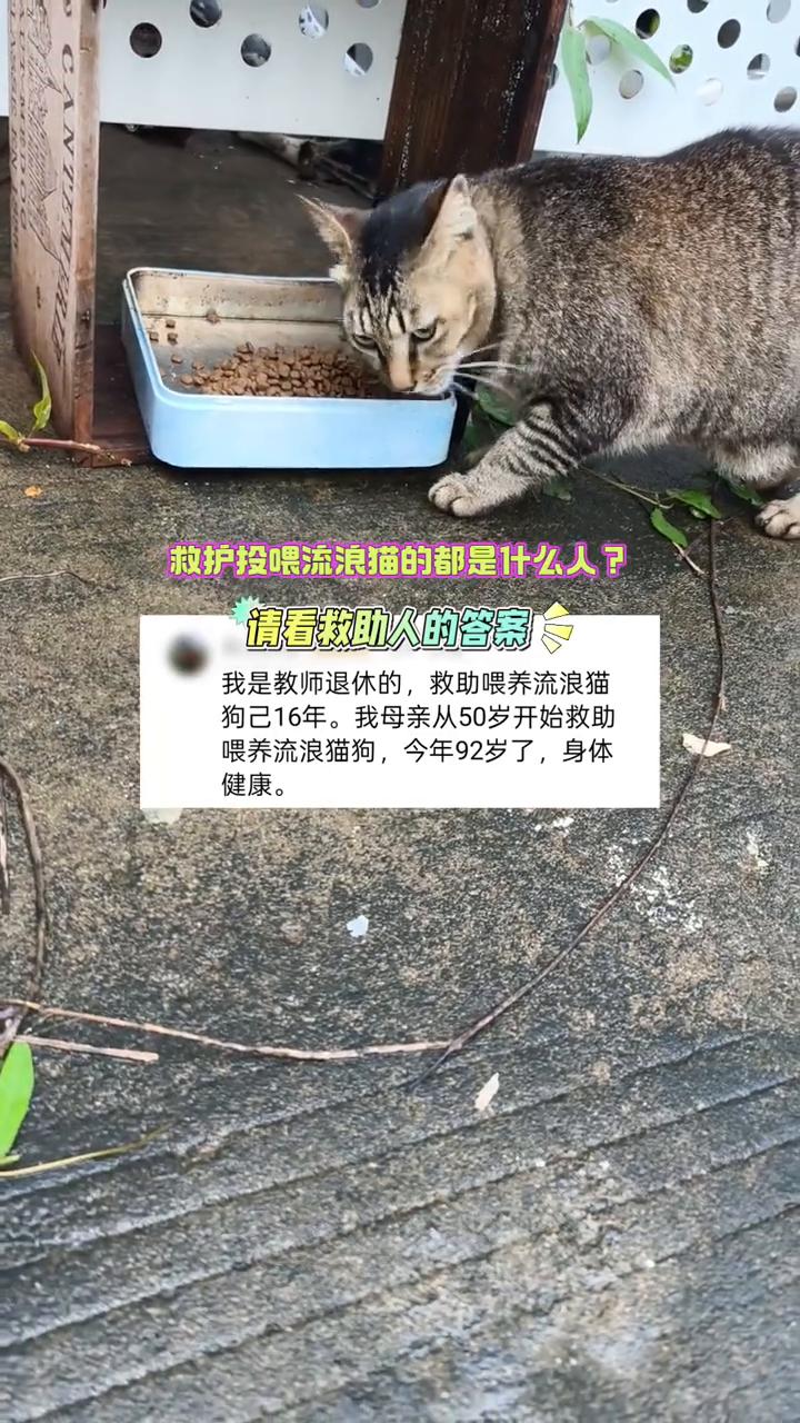 救护投喂流浪猫的都是什么人？请看救助人的答案。
我是教师退休的，救助喂养流浪猫狗