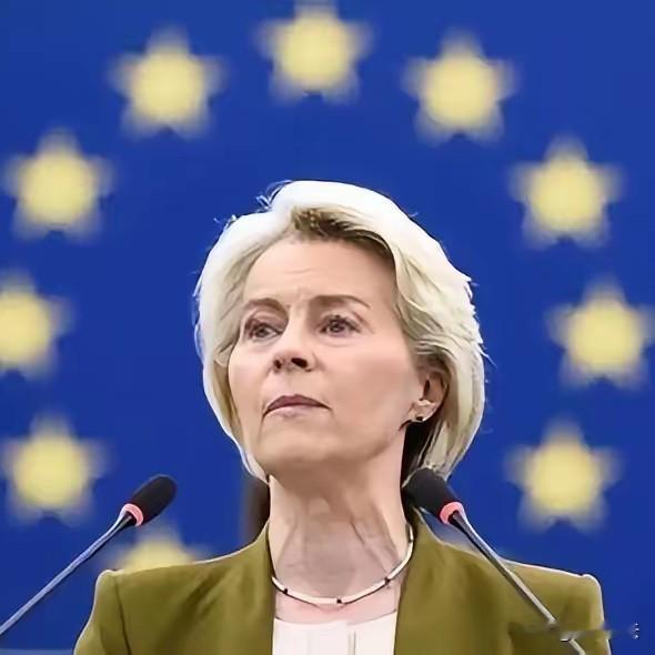 绝对是白眼狼一个！
欧盟突然对中国动手了！
南方财经1月29日电，据中国贸易救济