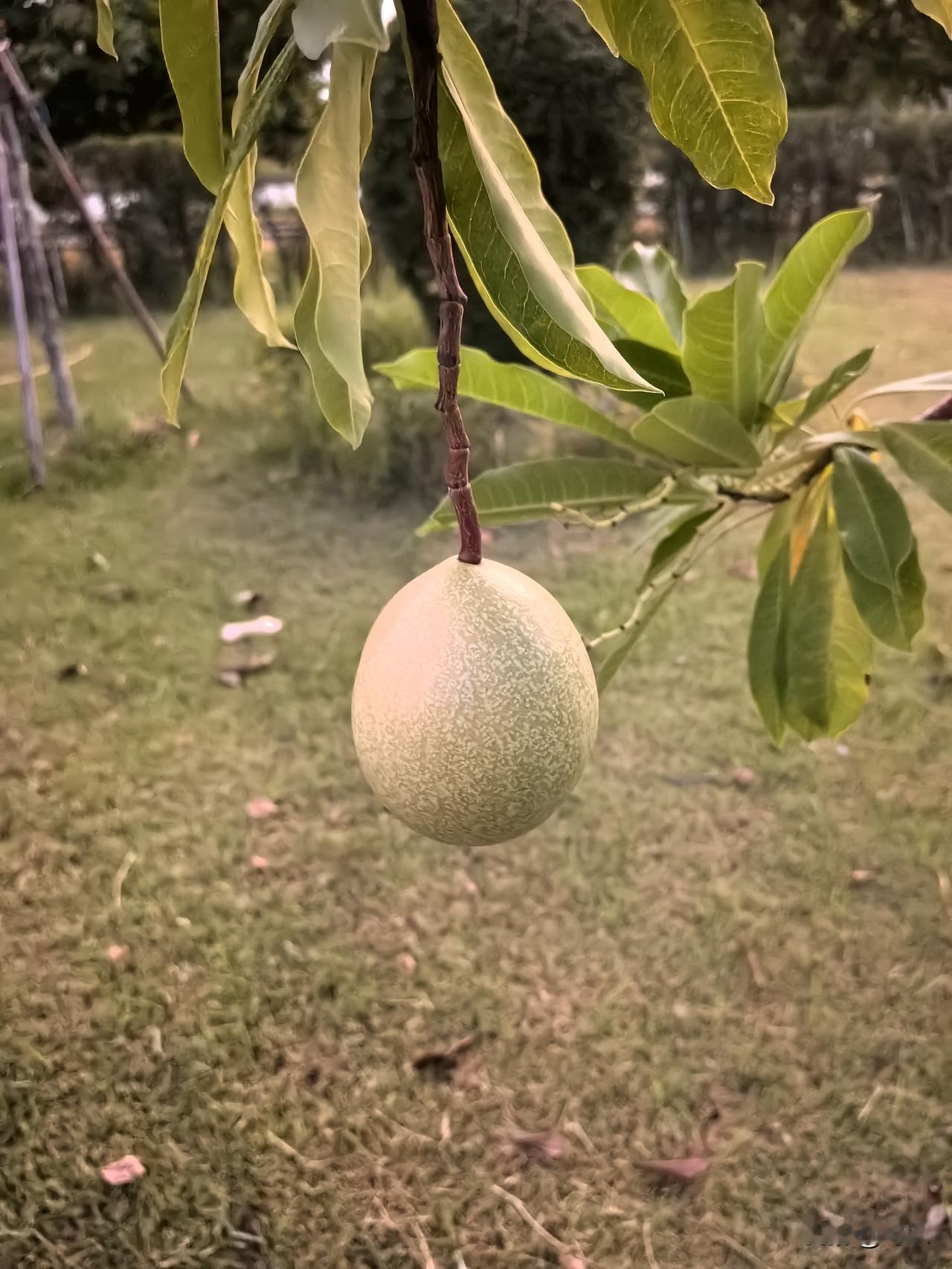 一个地方好不好，不要看有钱的人过得怎么样，要看最普通的人是怎样在过日子；不要看规