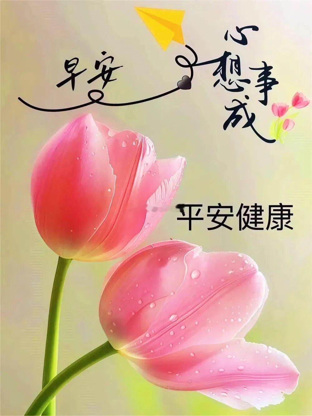 新的一天，新的开始，早安！🌞岑先生