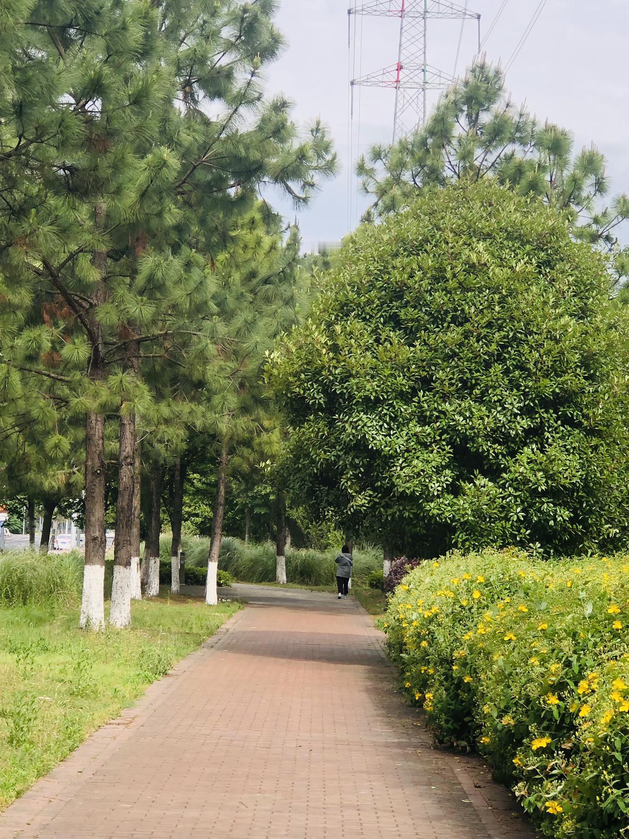 我的今日状态：😁轻松愉快
我这里的天气：☀️晴天
今天常州天气真的太舒服了，温