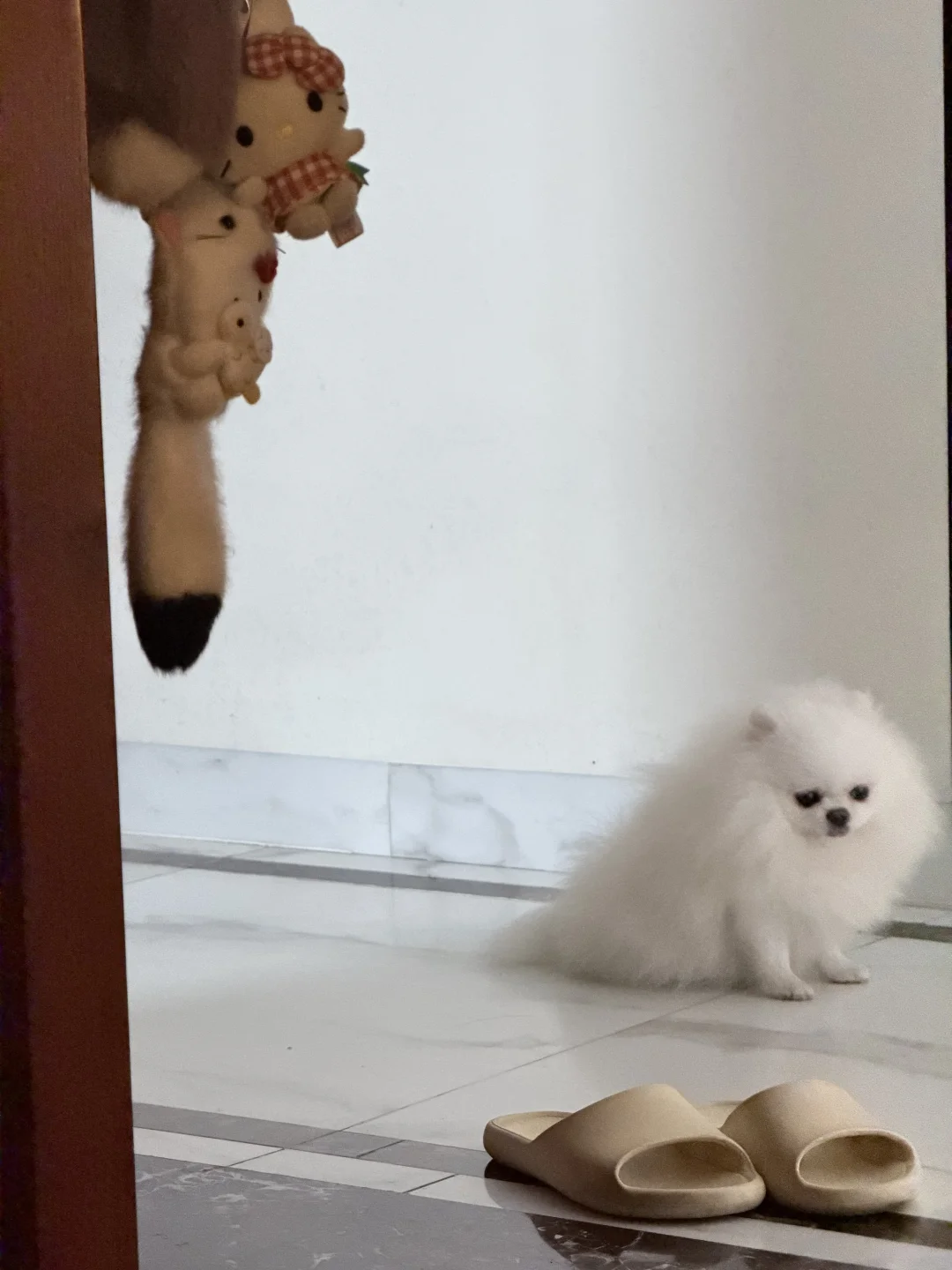 少爷都不爱笑了