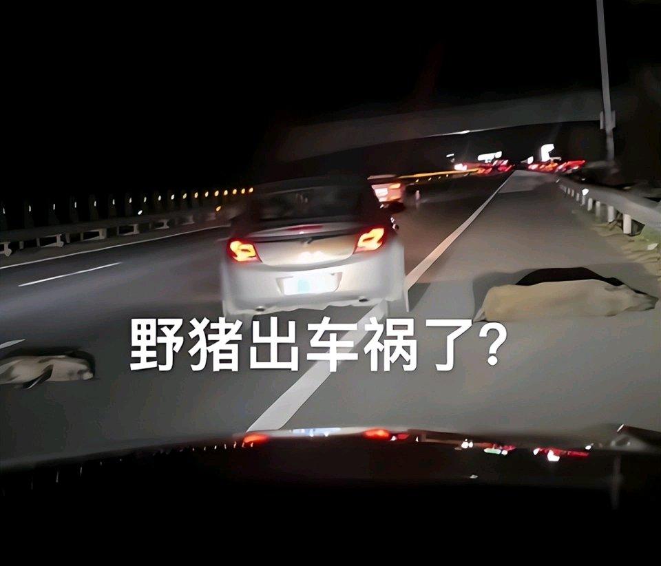 2025年10月8日网友回应，自己在G12珲乌高速吉林西收费站入口附近，以105