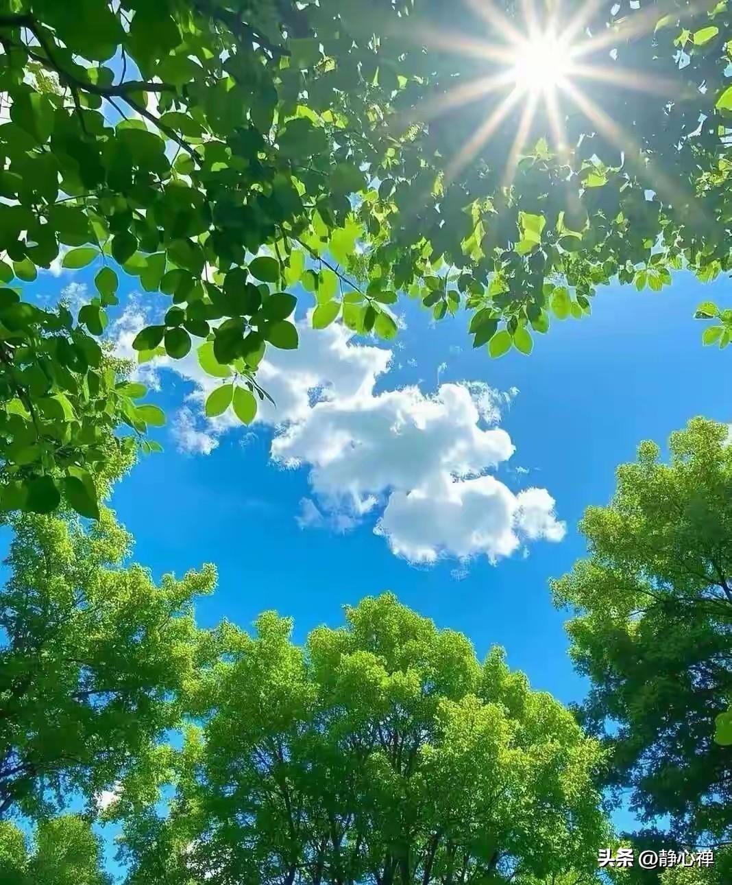 不用走不用跑，既降糖，又可以练全身！坐在椅子上或床边，用双手的手指梳头，闭眼睛，