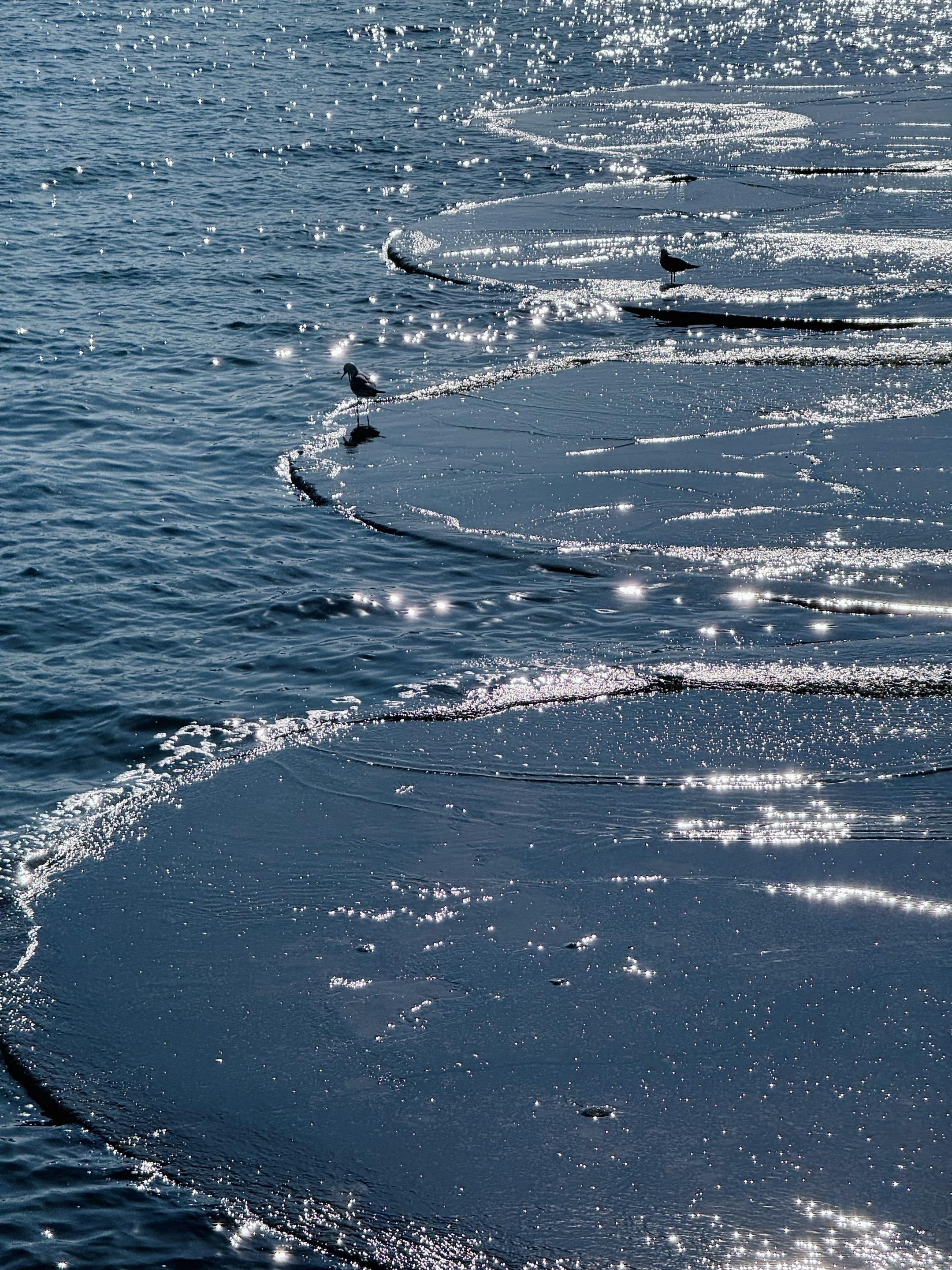 今晚过后，你就不是最强的iPhone了！今晚 iPhone 17 系列...