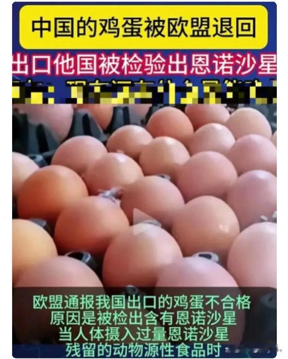 你还敢吃鸡蛋吗？2024年10月22日，我国出口欧盟的鸡蛋被退回，原因是检测出含