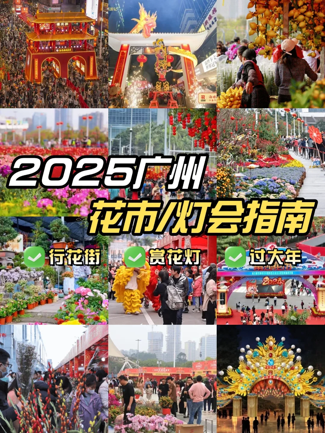 放心食用！2025广州超全花市攻略get！