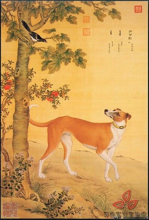 康熙年间，桐乡乌镇有一个人，家中养了一条狗。这条狗非常奇怪，每天晚上一定要跳进河