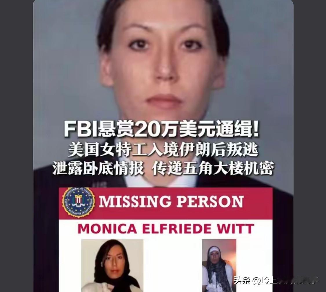 百分之百碟中谍，叛逃哪里都说的通，入境伊朗叛逃搞笑呢，我脚上大拇指都想的到。[尬
