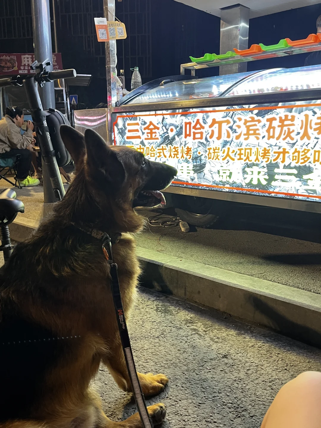 德牧|谁家狗出来遛弯冲到烧烤摊来？