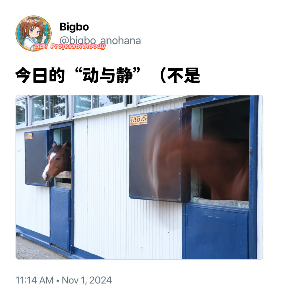 [笑cry]#meme# /#笑料江湖争霸赛# ​​​