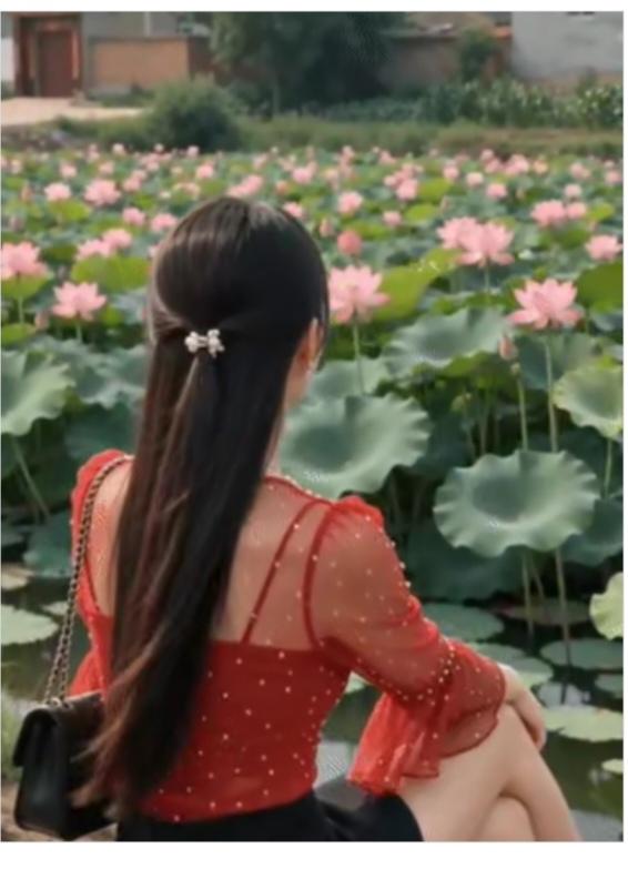 欣赏“荷花”
盛夏时节天气热；
找个避暑好地方；
郊区二十多里路；
有个荷花深水