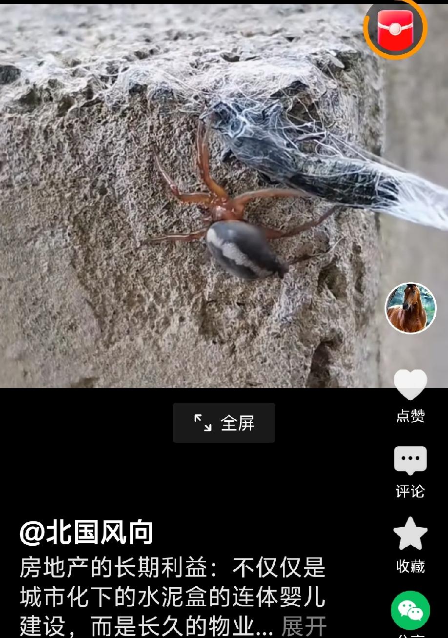 房地产生意，从来不止盖楼卖房这一次性交易。
一座座钢筋水泥的楼宇，织成一张巨大的