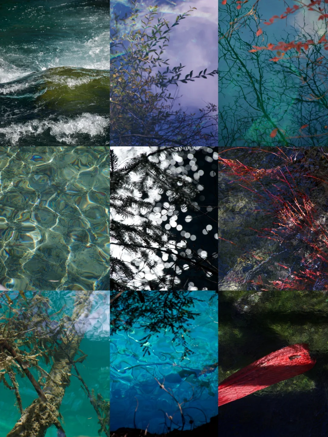 九寨之水天上来📸任何滤镜都配不上她