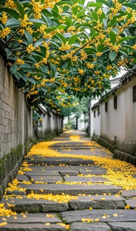 上联：桂花洒落香十里；
下联：？？？