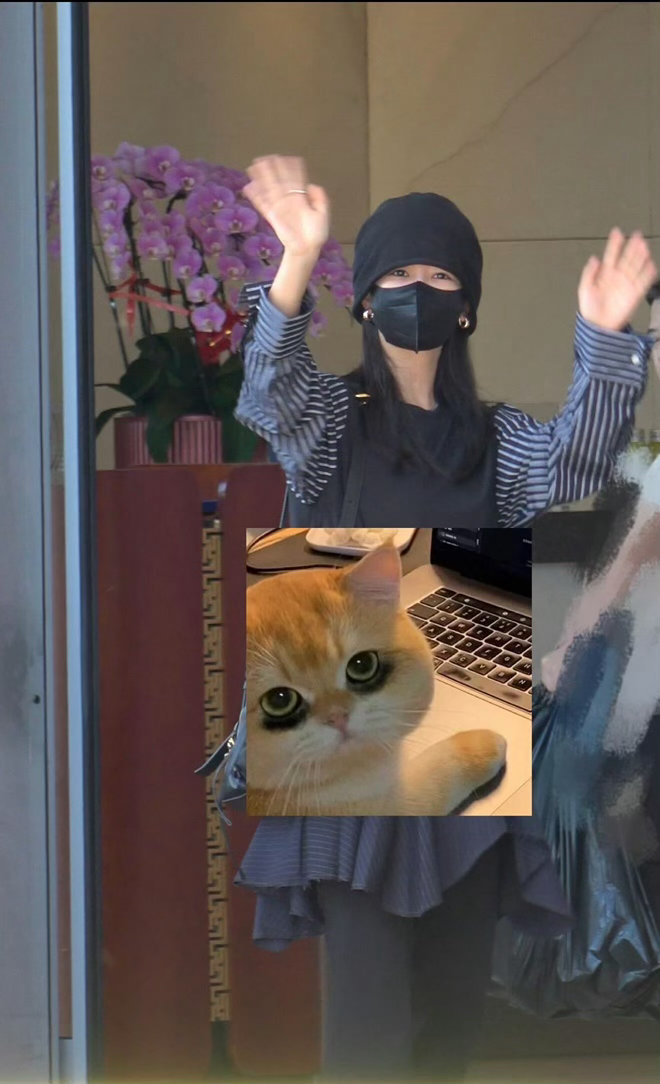 紫妹出发图，有日子没见了[爱慕] ​​​