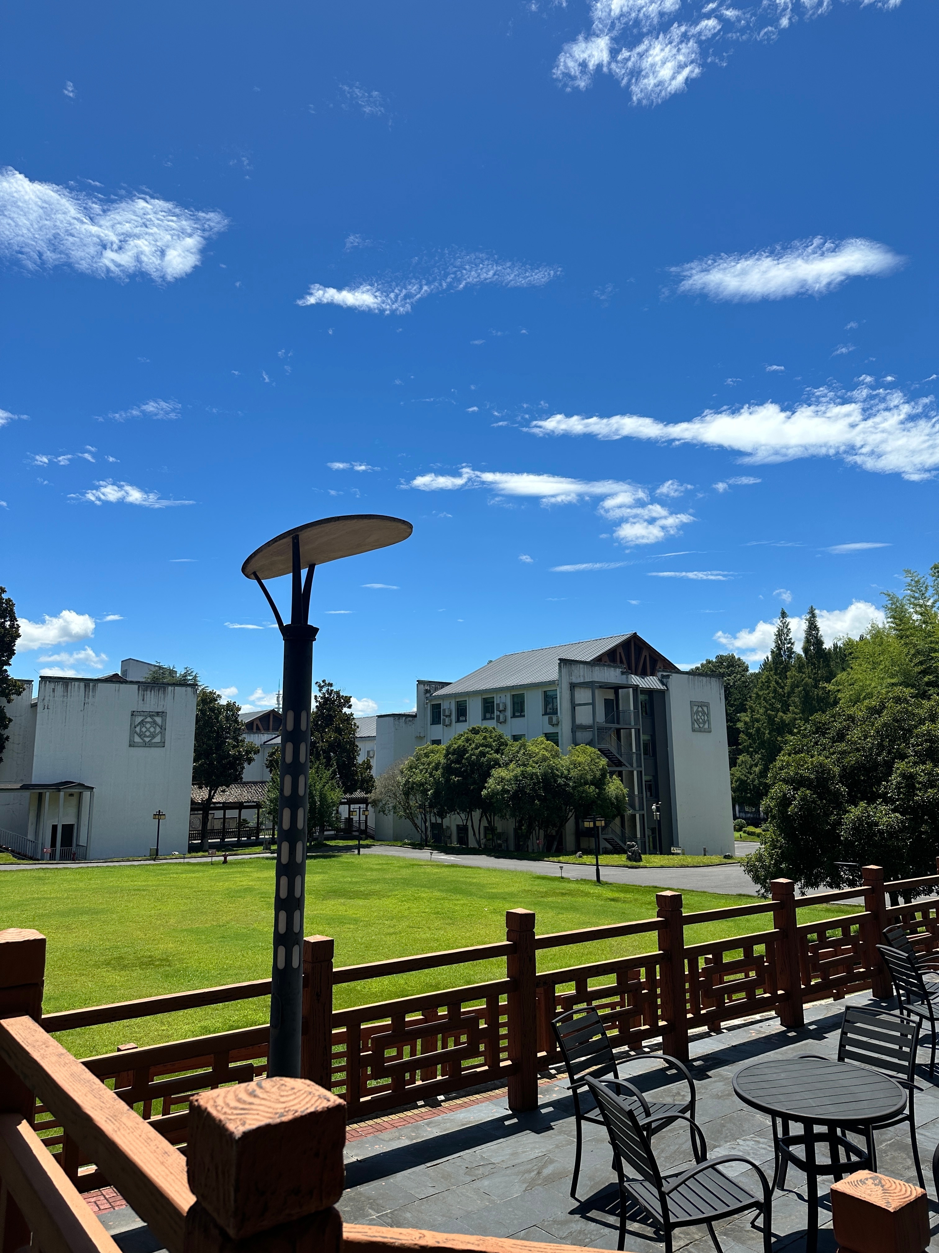 这好天气可以治愈一切学习的苦📚 ​​​