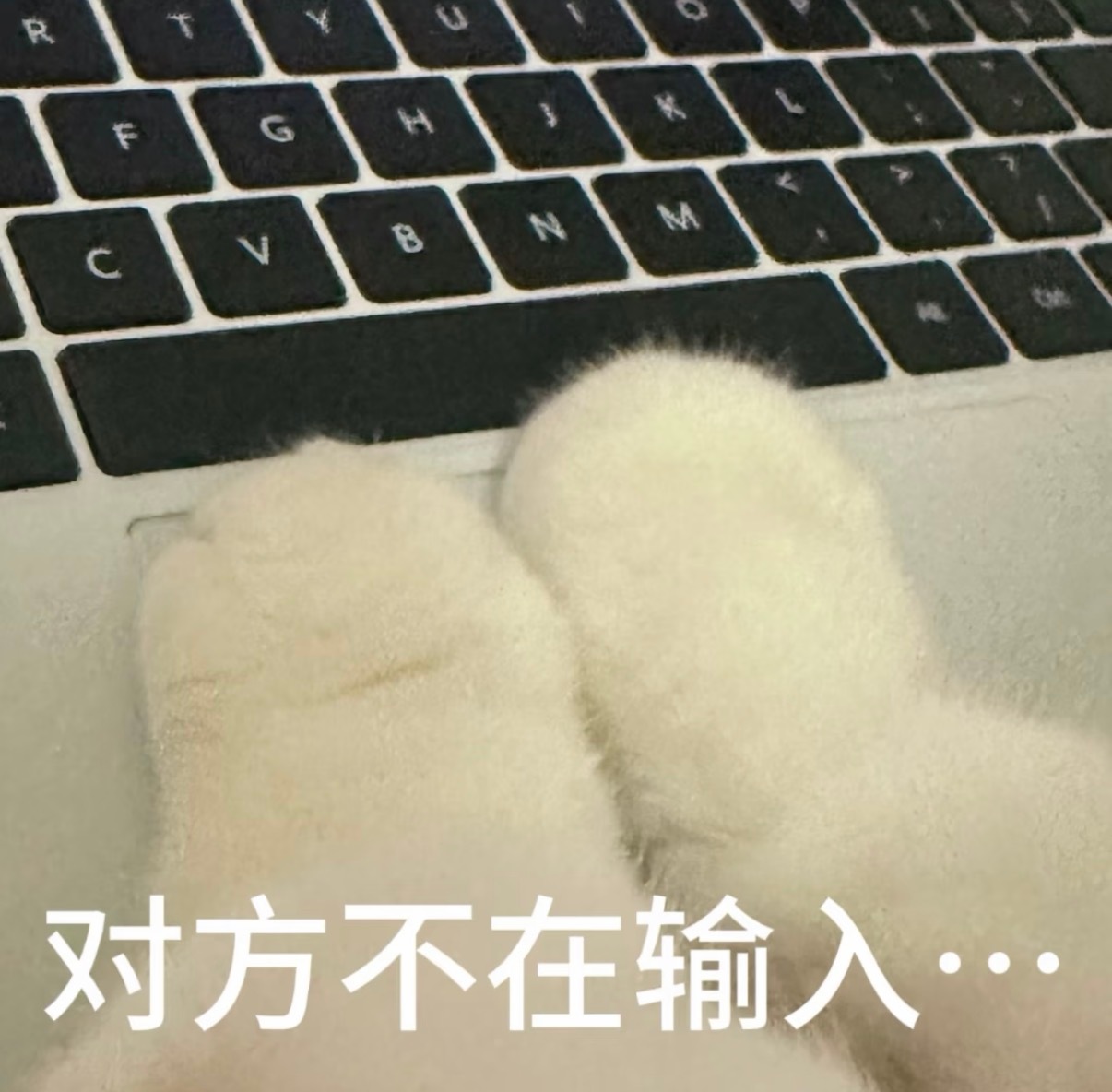 顺带一提，我厨房台面上去年还堆着一罐凝珠，现在换成粉了。具体是哪条消息、说了什么