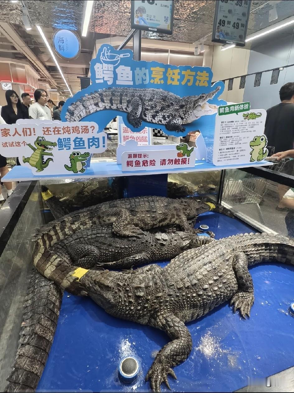 现在超市都开始卖活的鳄鱼了？
这谁敢买，买回去要是被咬一口，那不是亏大发了[捂脸