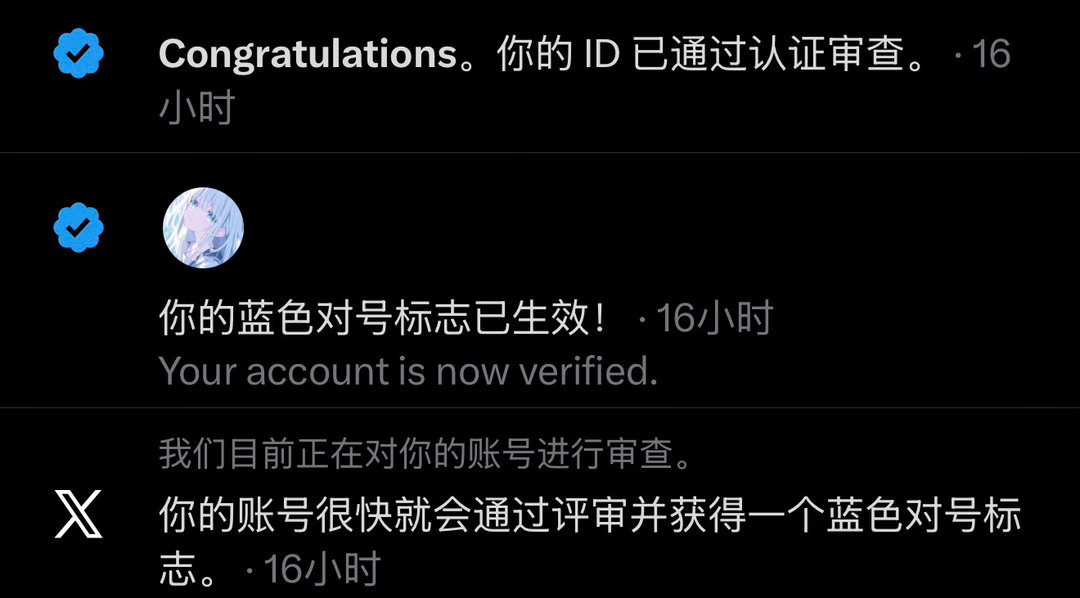 第一次给推特交钱😡😡😡 