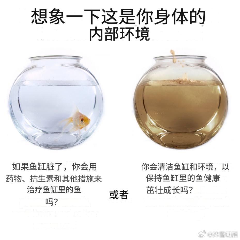 你需要知道路易斯·巴斯德，他的细菌理论教条试图将人体的自然解毒过程（由有毒环境、