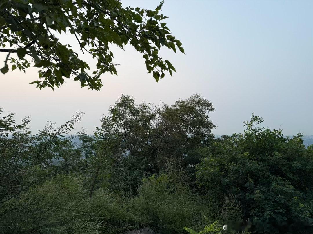 本来想早点来看日出的，到观日出点才发现被树挡住了