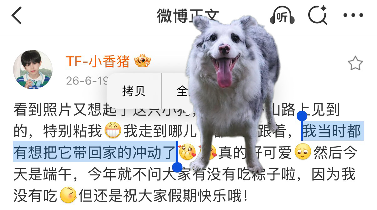 那这只狗呢