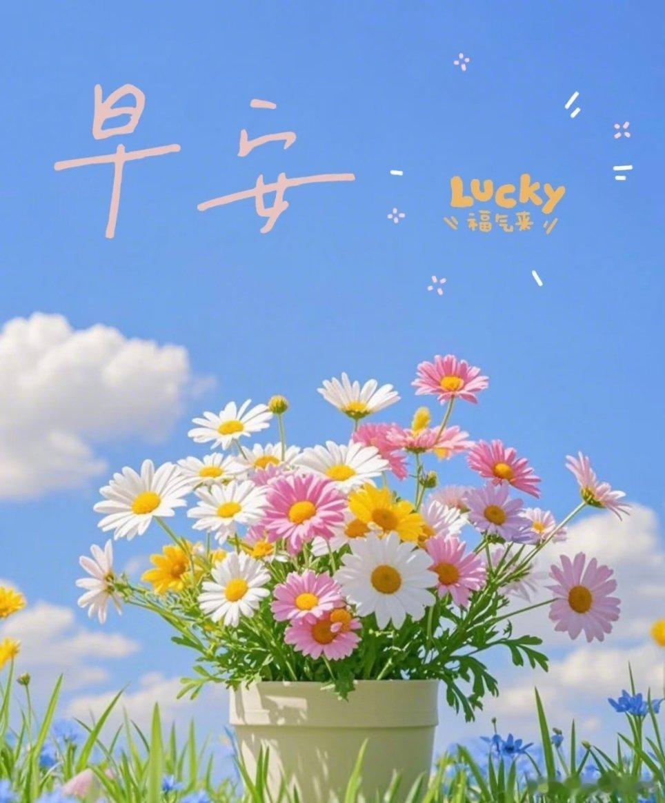 早安[超话]早安 早安！当你睁开双眼，祝福已飞到你面前，带着快乐的旋律，愉悦的心