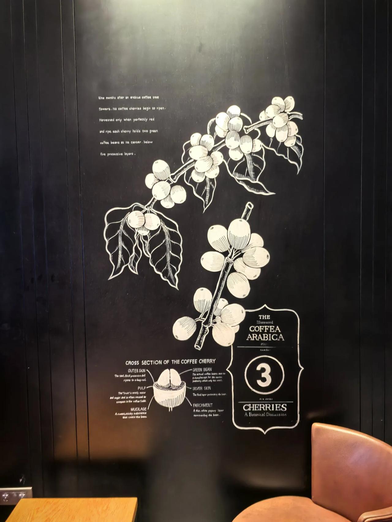 怀胎九月，刚才成熟。
从白色的咖啡花，到红色的咖啡豆，要270天之久…