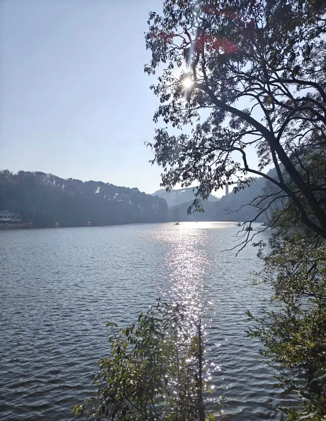 早上一个女性来找我，条件不差，婚姻也没到撕破脸 她上来第一句话不是哭...