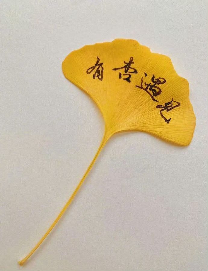 有杏遇见，无比想念！ 