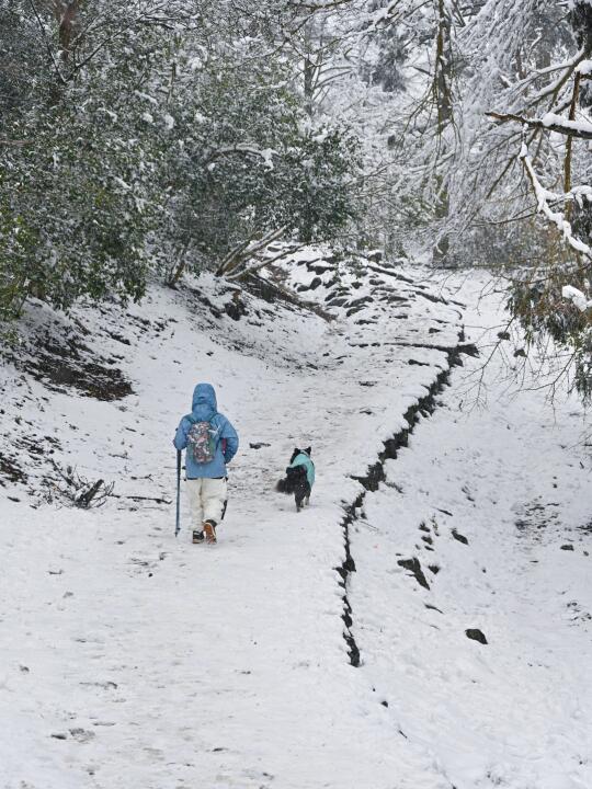 雪一直下❗️四明山最美踏雪徒步路线出现了