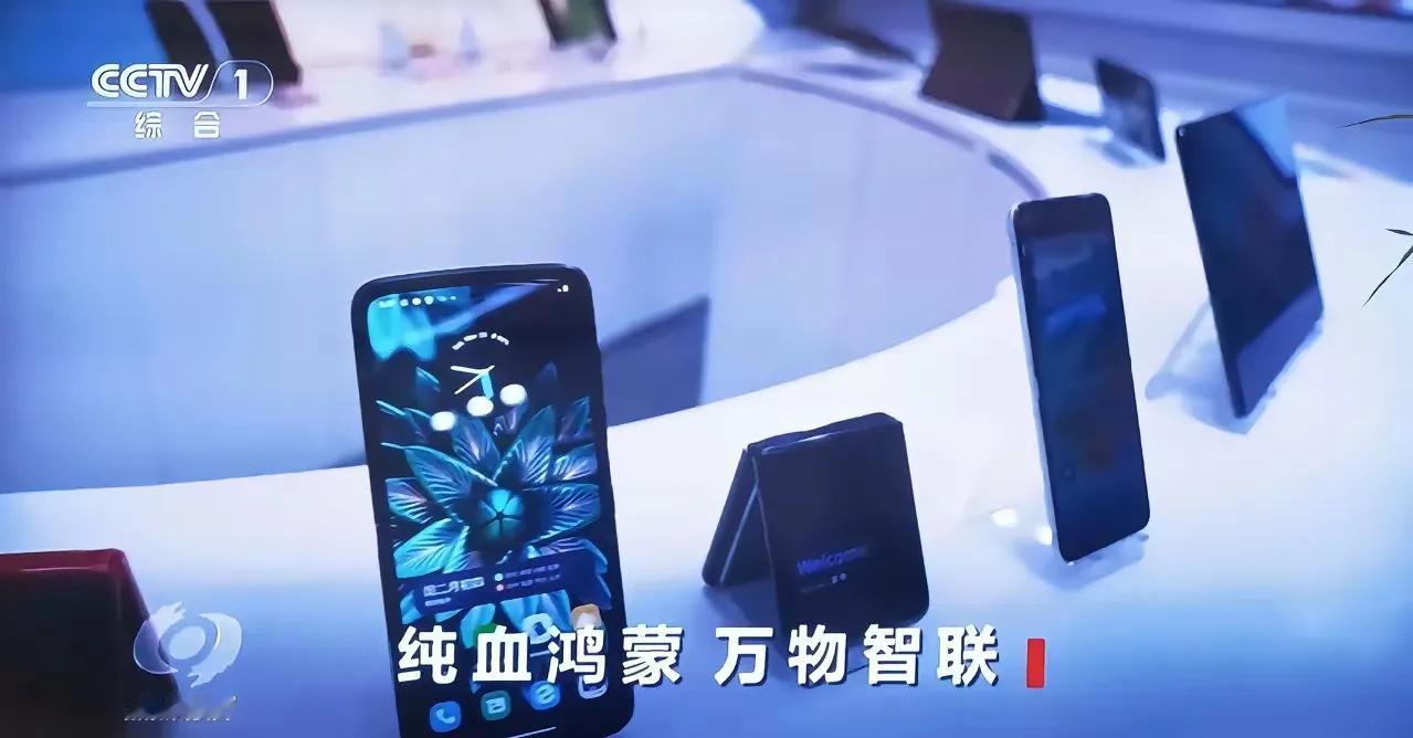 对于那些拒绝与“鸿蒙系统”携手的伙伴，是时候重新考量了，以免错失时代列车！

昨