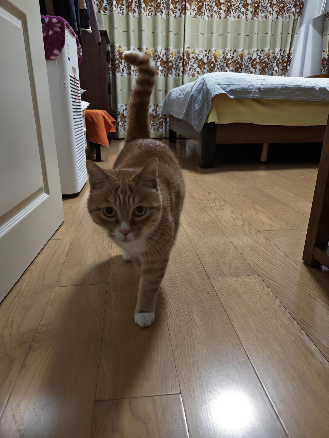 春日生活打卡季好休闲