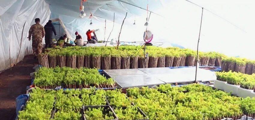 延边农户靠大棚
         敲开致富门户

        谁说农民只能“