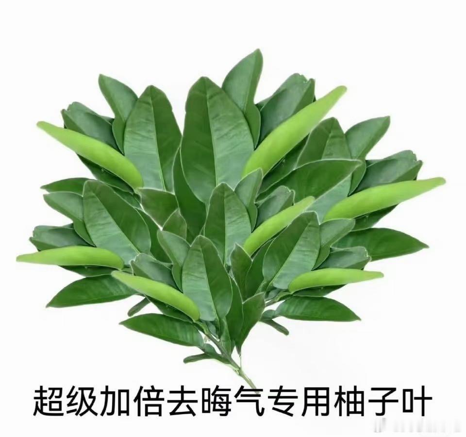 一大早怎么这么多晦气啊 