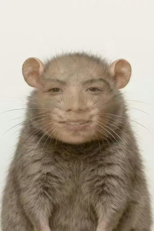 我的一个心情吧 
