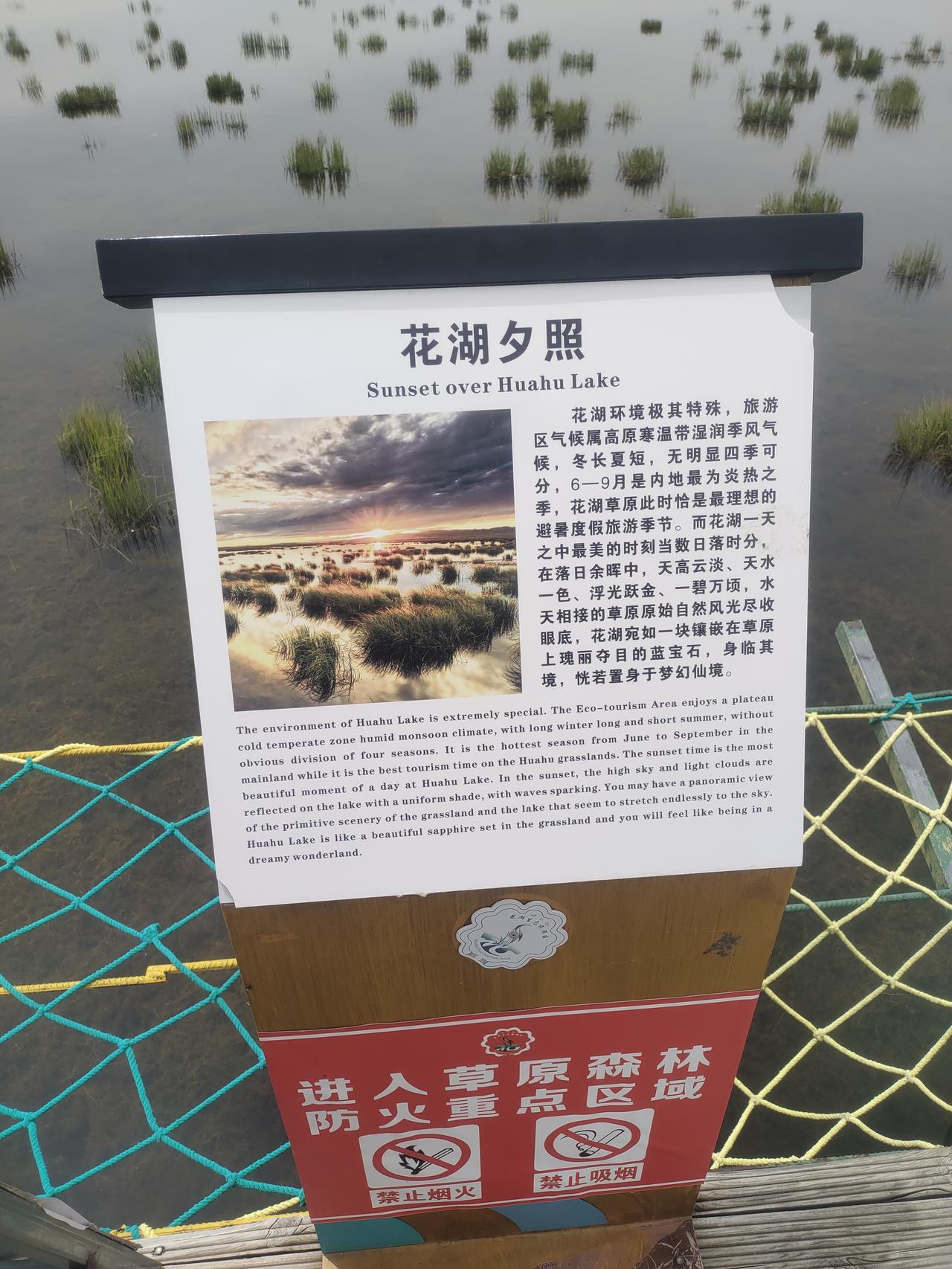 花湖
吃过饭，来到了花湖风景区，遍地都是牛羊，清清的湖水，绿绿的大草原。
美哉！