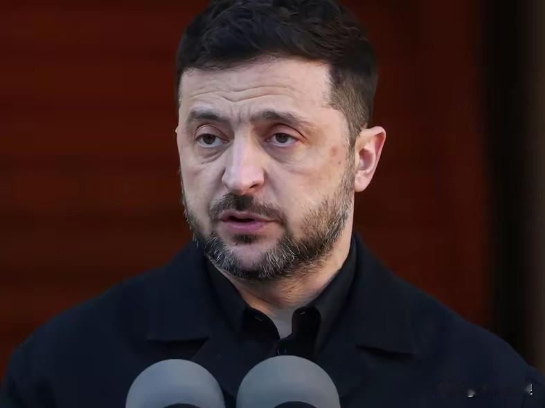 乌克兰总统泽连斯基提出的条件，俄罗斯总统普京答应了！

刚刚，俄罗斯总统普京表示