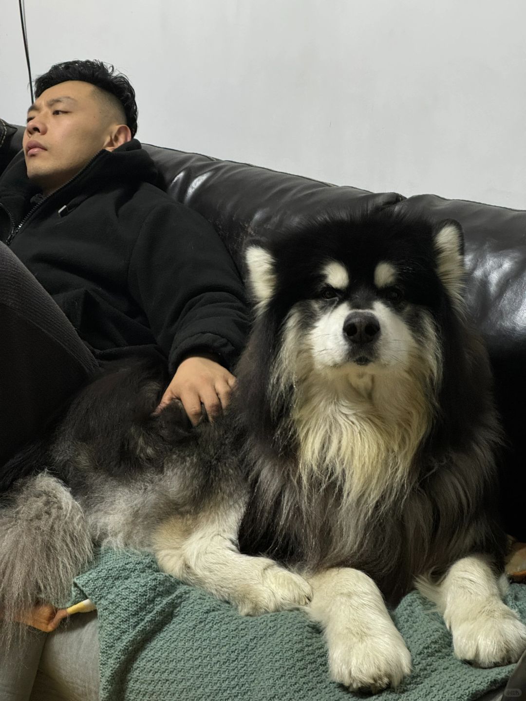 这爷俩长得还怪像来！