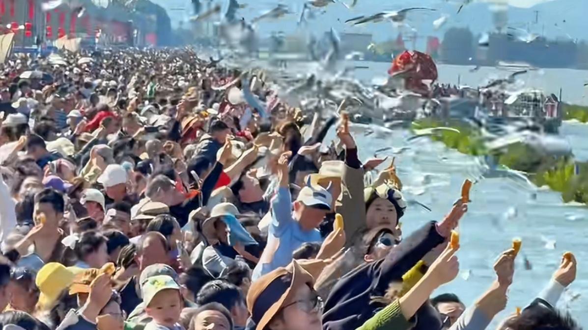 🔥春节海埂大坝彻底火了！天天人山人海，人比海鸥还多，两公里路要挪40分钟，拍照